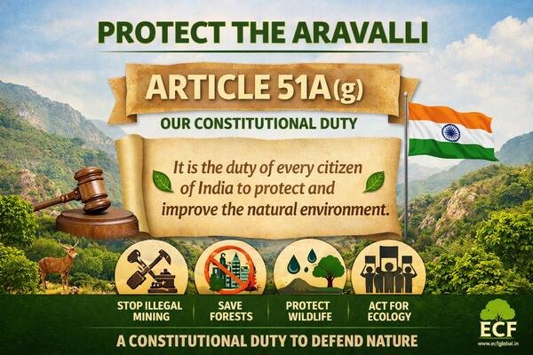 Section 51A of the Indian Constitution: How It Empowers Indians to Protect the Aravalli Range