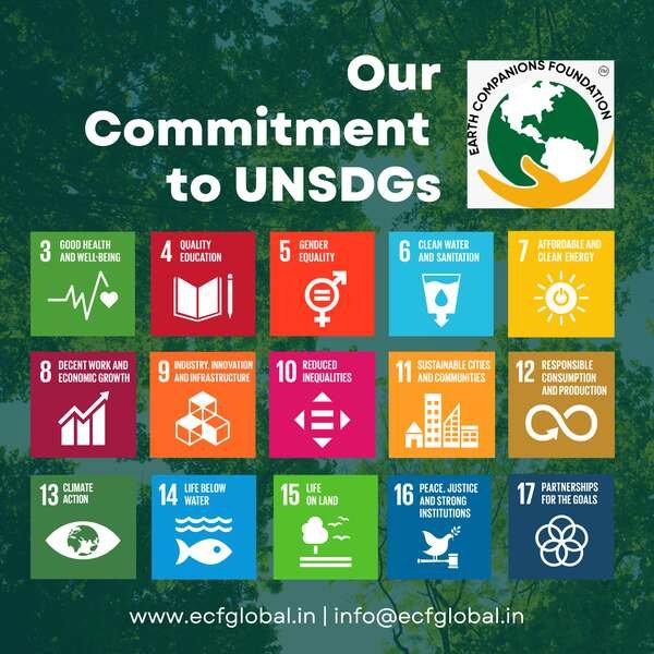 Earth companions foundation unsdg goals